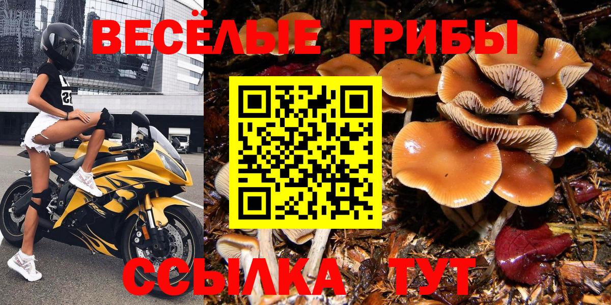 Галлюциногенные грибы Psilocybine cubensis  Вход с VPN  Тольятти 